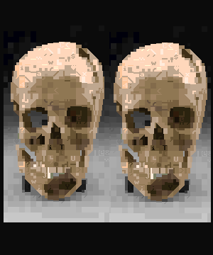 wayfarer_skulls