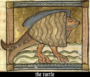medieval_bestiary_bad_turtle