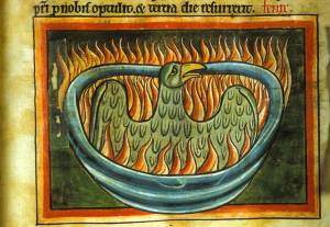 medieval_bestiary_unhappy_bird