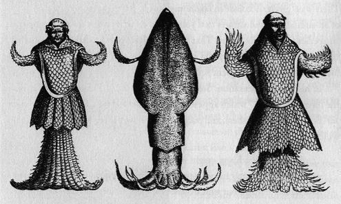 495px-japetus_steenstrup_sea_monks-1-